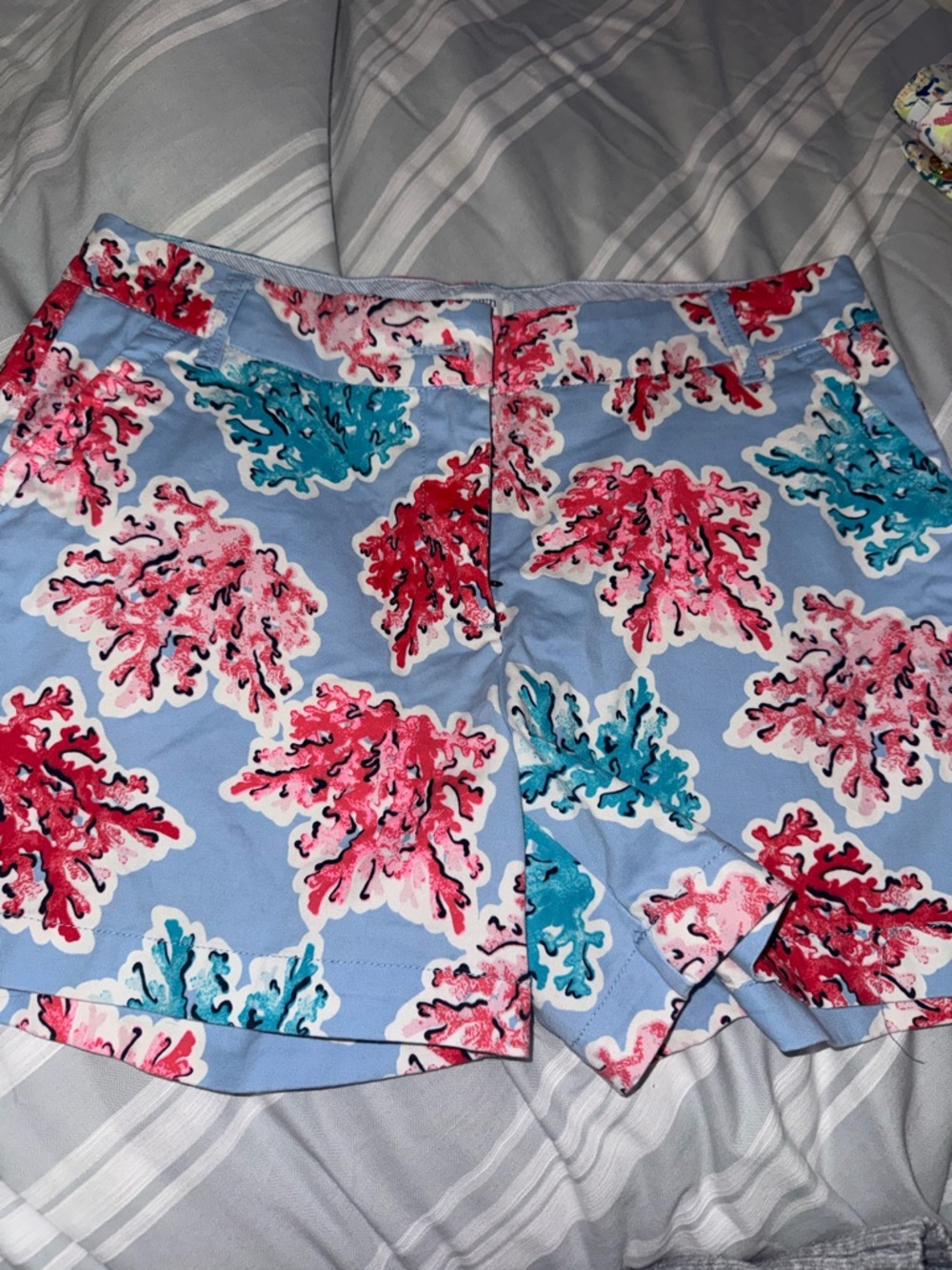 crown & ivy Pastel Blue and Pink Lined Shirt